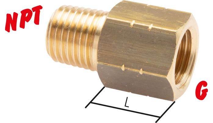 Exemplaire exposé: Embout de réduction avec filetage NPT / filetage G, Laiton